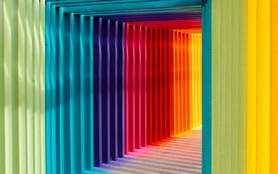 robert-katzki-jbtfM0XBeRc-unsplash